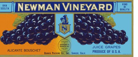 Newman Vineyard